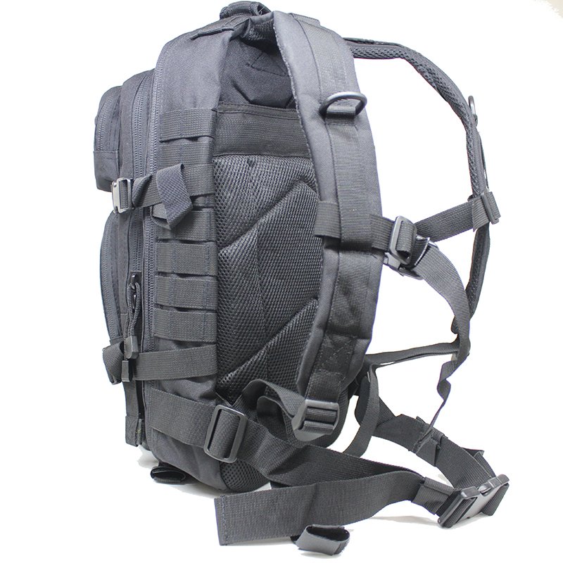 Mil-Tec MOLLE US Assault Pack Small 