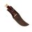 MUELA DP-10M - Coral Handle Skinning Knife