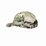 Operator Cap by SORD