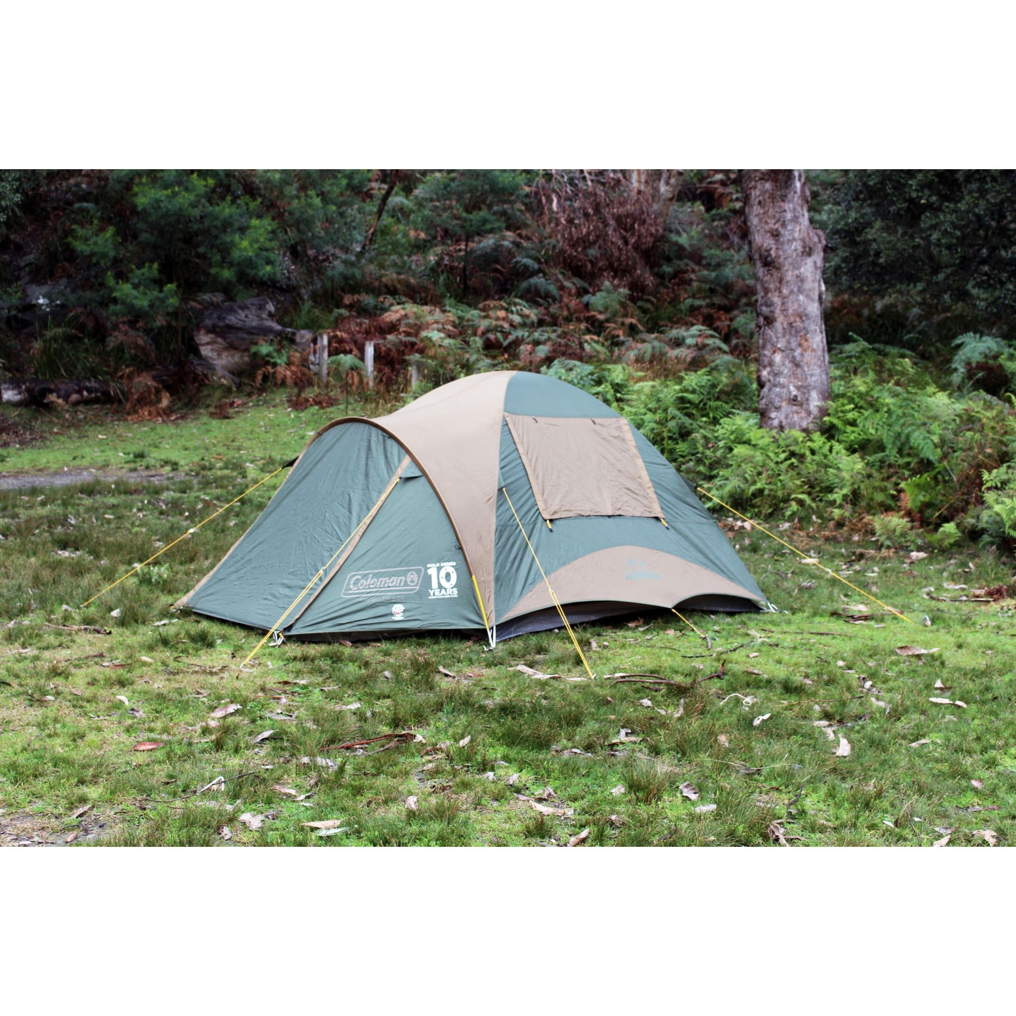 tessin zelt High Peak Kuppelzelt 5, Campingzelt mit Vorbau, 2 Eingänge, Familien- für 5 Personen, extra hoher Eingang, doppelwandig, 2.000 mm wasserdicht, Ventilationssystem, Moskitoschutz Sport & Freizeit Model:Can-Am Racer Opnieuw tenten voor Ter Model Year:2020