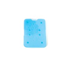 COMPANION Ice Brick Slim Small - 150ml-accessories-Mitchells Adventure