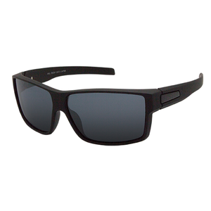 Anthony Sunglasses - Black Frame with Smoke Polarised Lens by BLACK ICE