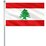 Flag Of Lebanon (Large) 5'x3' by OUTBOUND