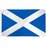 Flag Of Scotland (St Andrews) (Large) 5'x3' by OUTBOUND