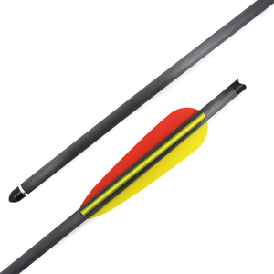 20" Carbon Bolt (6 Pack) by EK ARCHERY