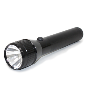 2D Security Flashlight with Krypton Bulb by MERIDIAN 