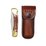 Papa Bear Staglon Handle Pocket Knife by SCHRADE