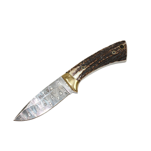 Colibri COL-7DAM - Damascus Blade Stag Handle Hunter by MUELA