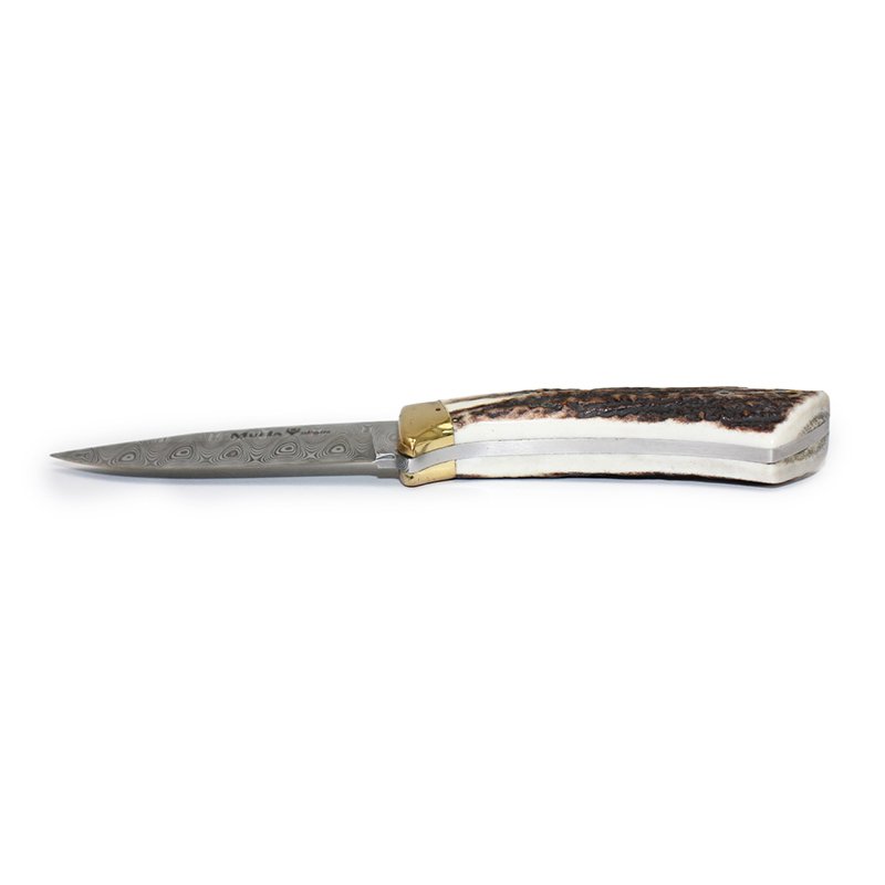 Colibri COL-7DAM - Damascus Blade Stag Handle Hunter by MUELA