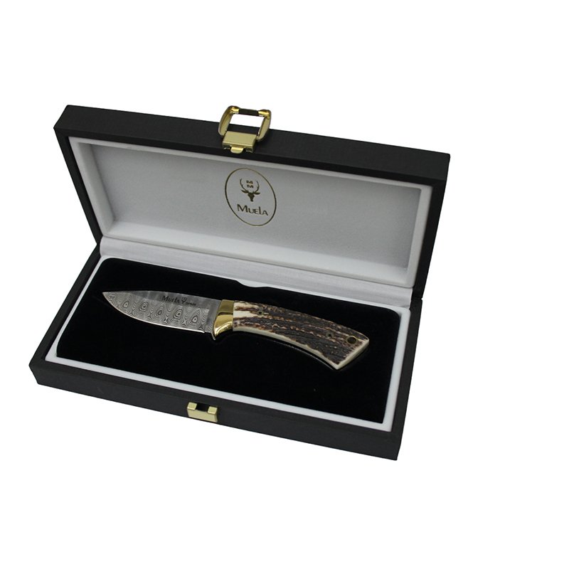 Colibri COL-7DAM - Damascus Blade Stag Handle Hunter by MUELA