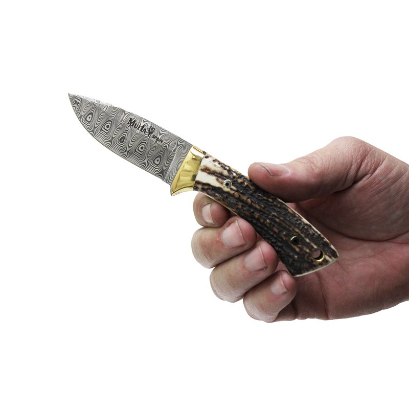 Colibri COL-7DAM - Damascus Blade Stag Handle Hunter by MUELA