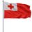 Flag Of Tonga (Large) 5'x3' by OUTBOUND