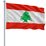 Flag Of Lebanon (Large) 5'x3' by OUTBOUND