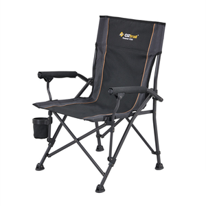 Roamer Kids Hard Arm Chair by OZTRAIL