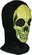 Skull Print Balaclava