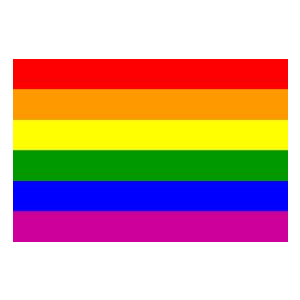 Rainbow Pride Flag (Large) 5'x3'