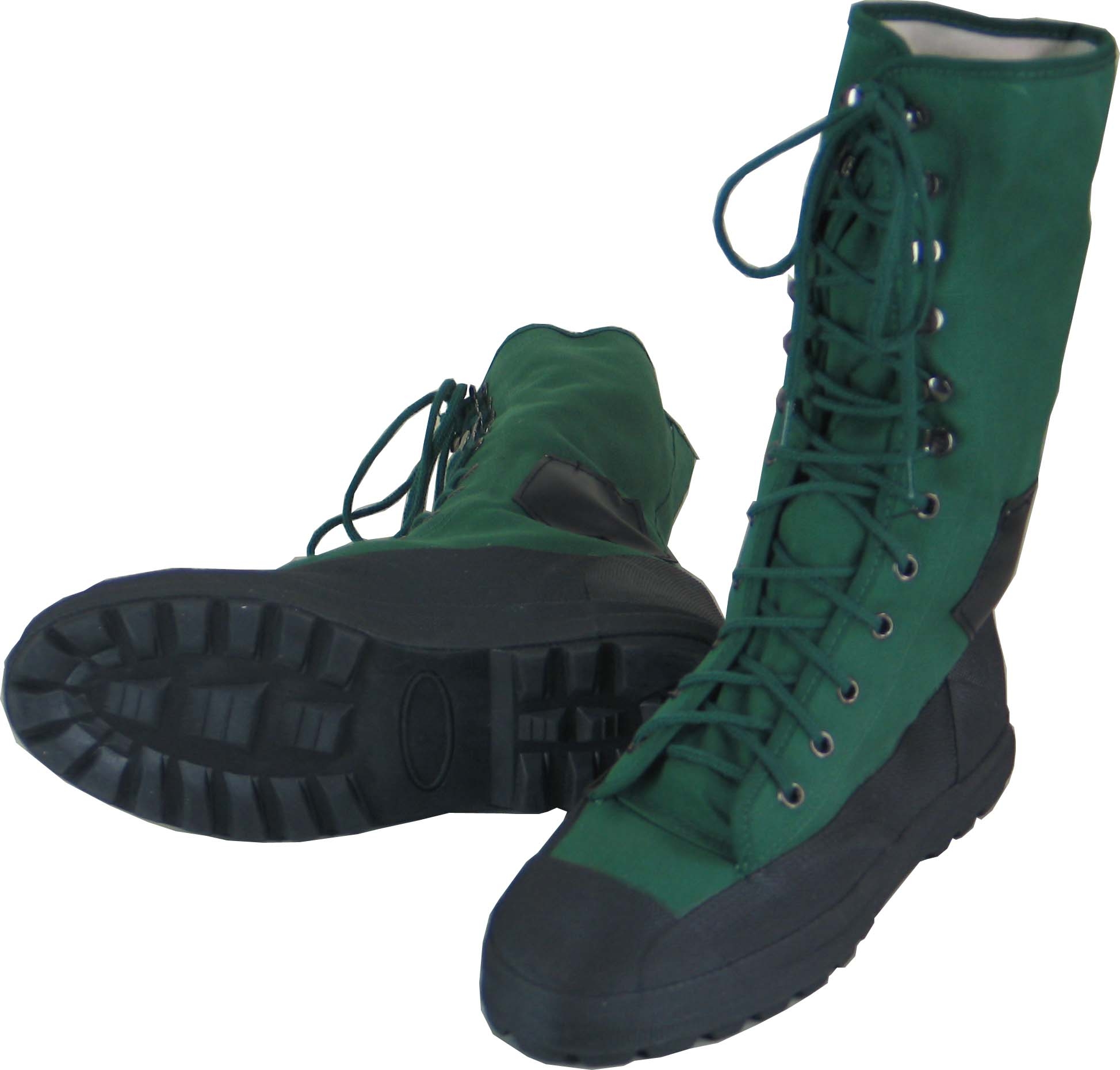 boots canvas