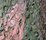 Leaf Pattern Camo Net 12'X20'  - MILITARY SURPLUS