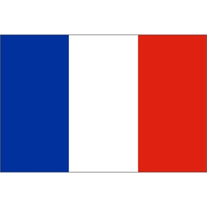 Flag Of France (Large) 5'x3'